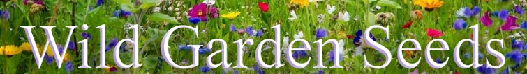 Wild Garden Seeds Banner